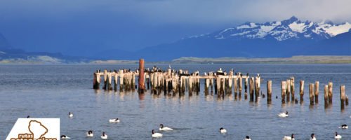 PuertoNatales2