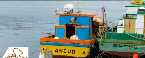ancud