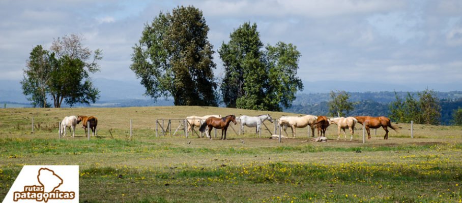 PuertoOctayEntreLagos