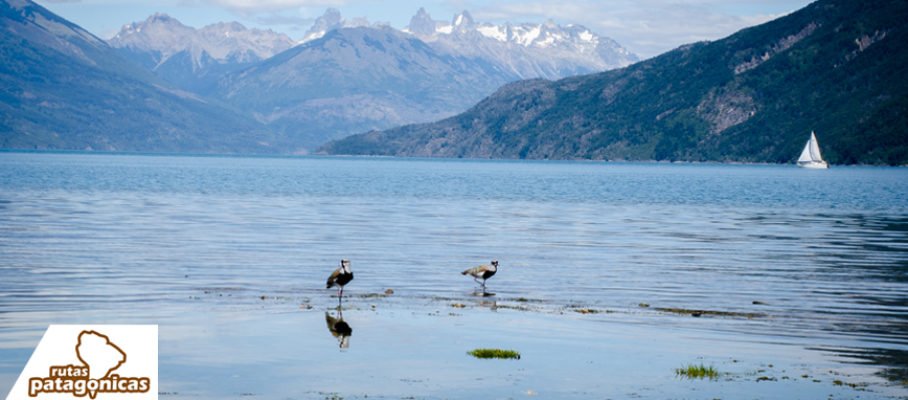 LagoPuelo