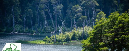 Pucon-LagunaSanJorge